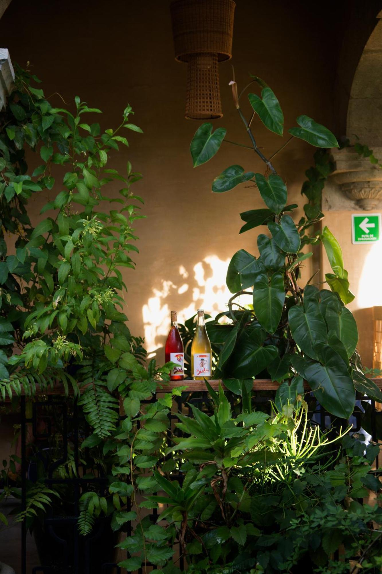 Casa Antonieta Oaxaca Exterior foto